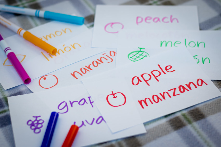 middle school spanish curriculum